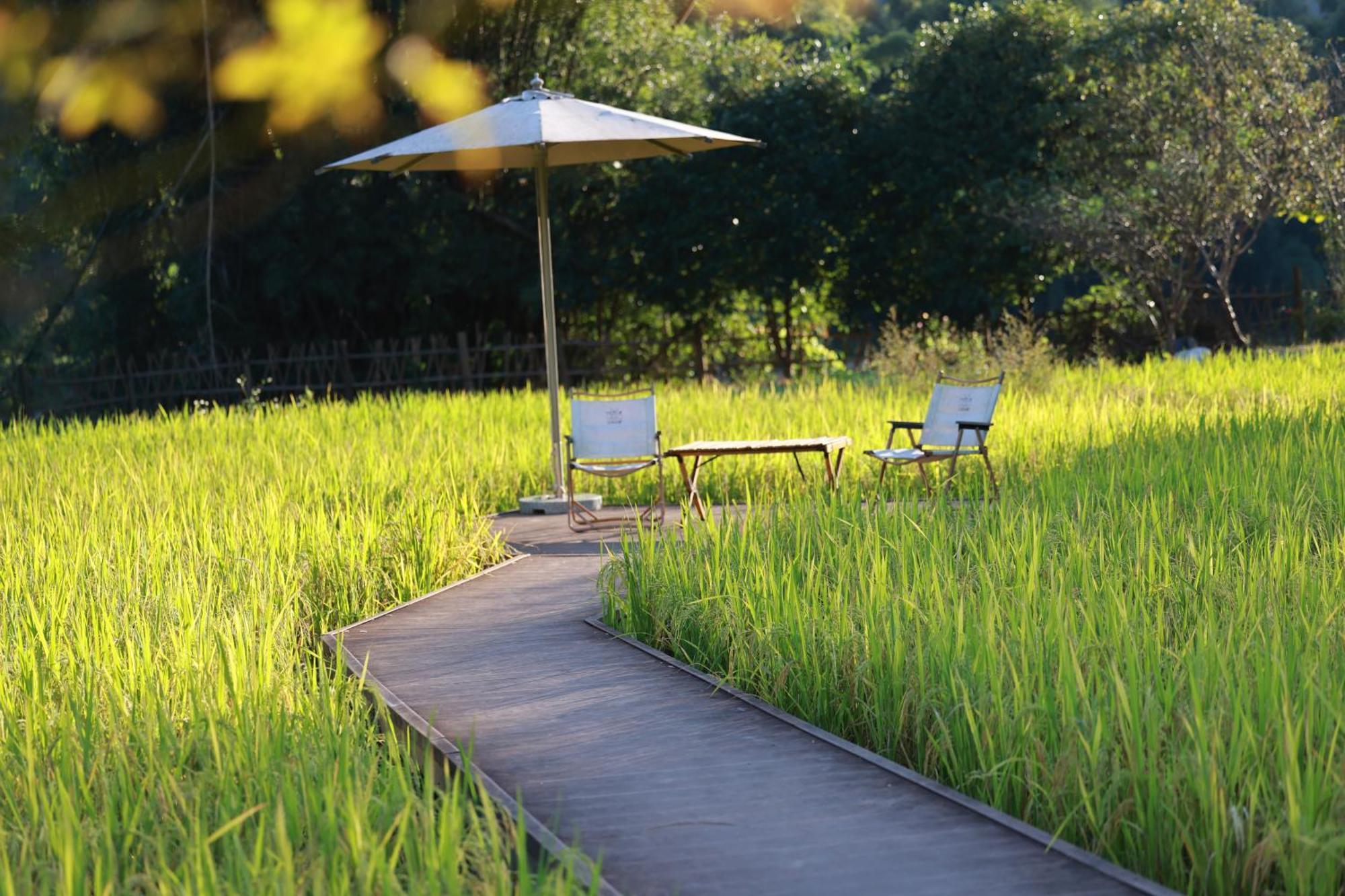 יאנג שואו The Apsara Lodge מראה חיצוני תמונה