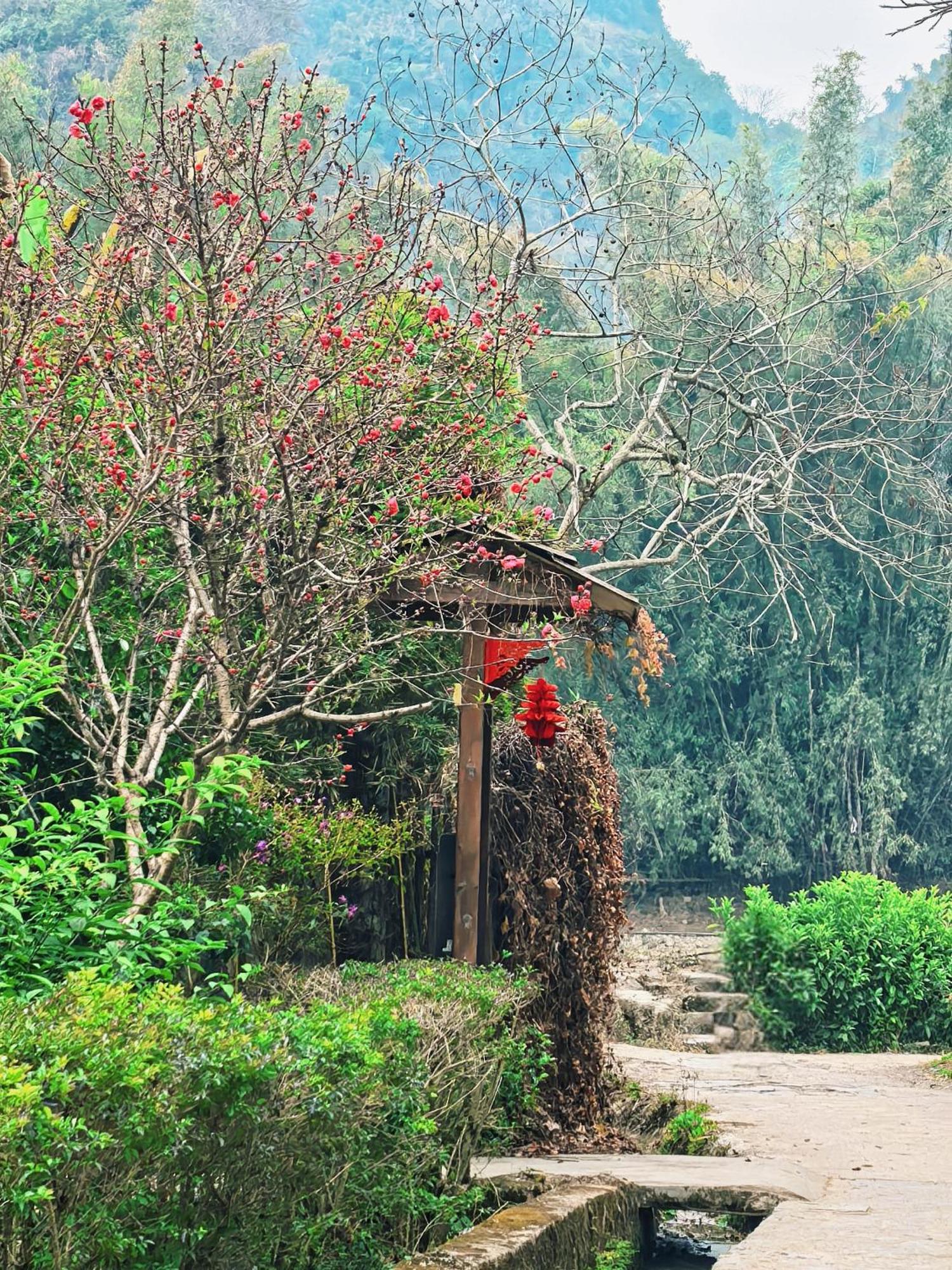 יאנג שואו The Apsara Lodge מראה חיצוני תמונה